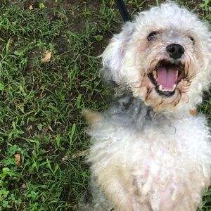 Meet your Posher, Antonio